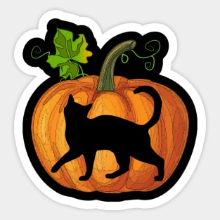 Cat in pumpkin Sticker